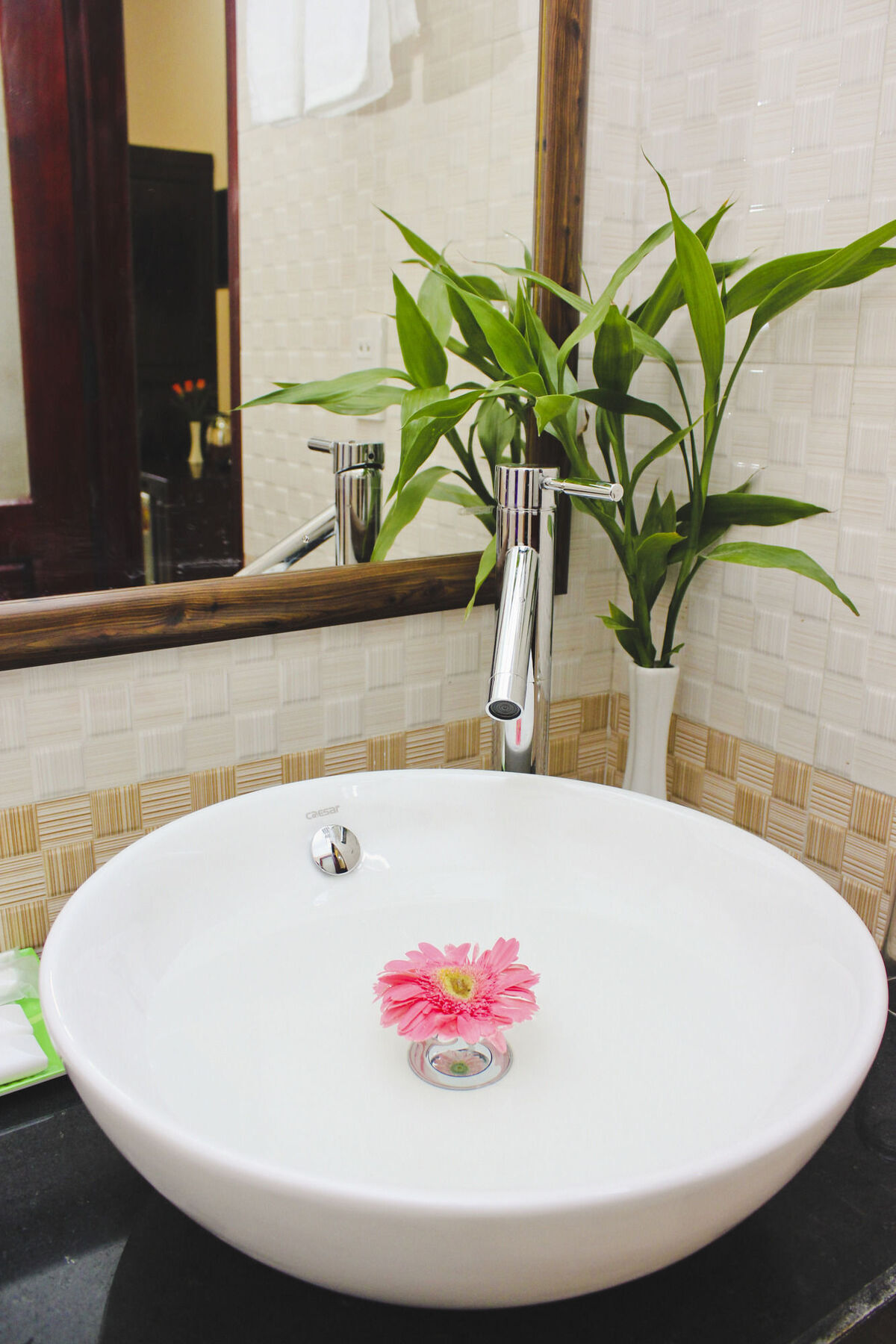 הוי אן Phoenix Homestay מראה חיצוני תמונה